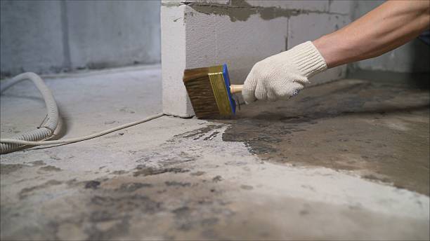 24/7 Emergency Exterior Waterproofing experts in Grand Blanc, MI
